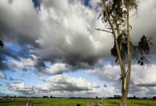 德甲杜塞多夫对阵波鸿，谁能在这场较量中占得先机？